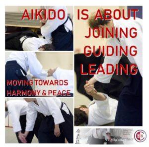 Integral Aikido Amsterdam principles Carolina van Haperen aikikai beginner advanced gevorderde
