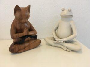 Mindfulness voor kinderen TSA Amsterdam AikiContact