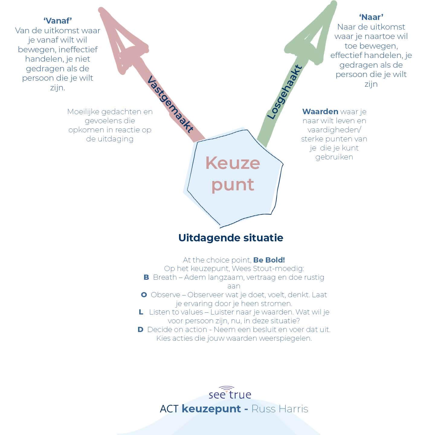 ACT Keuzepunt SeeTrue Carolina van Haperen Acceptance Commitment Therapy Training